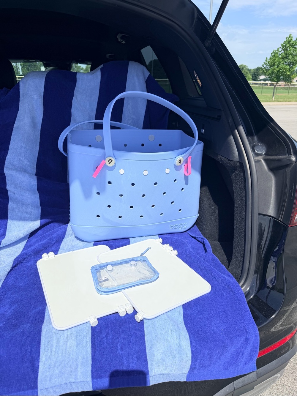 BOGG BAG Light Blue Tote with Pink Accents